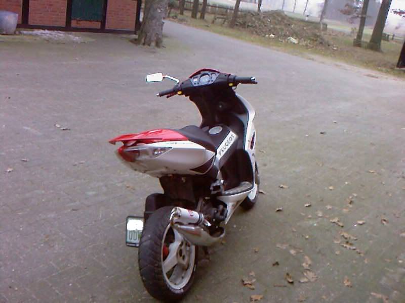 Paar Bilder