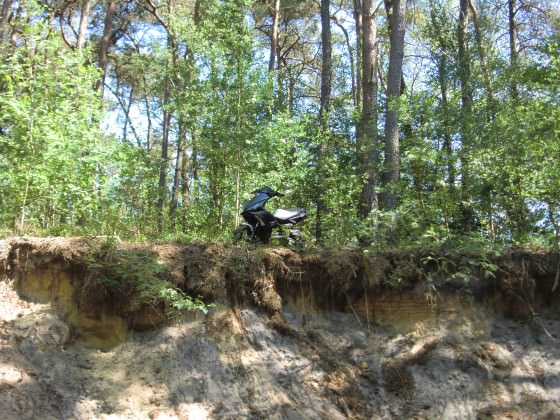 im Wald :D