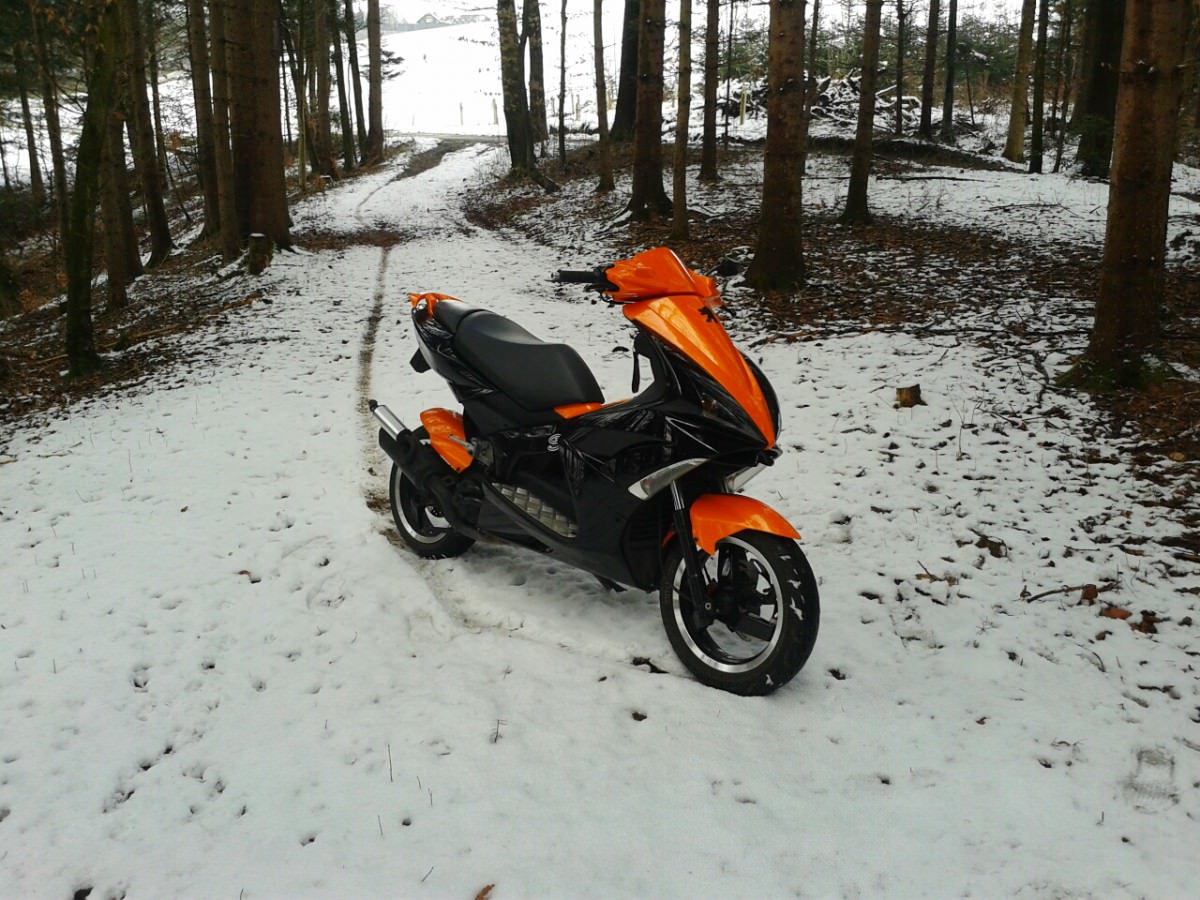 orangeblack jetts