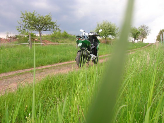 DSCN4395