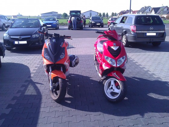Bald Sportpott