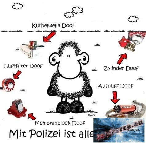polizei-doof.jpg
