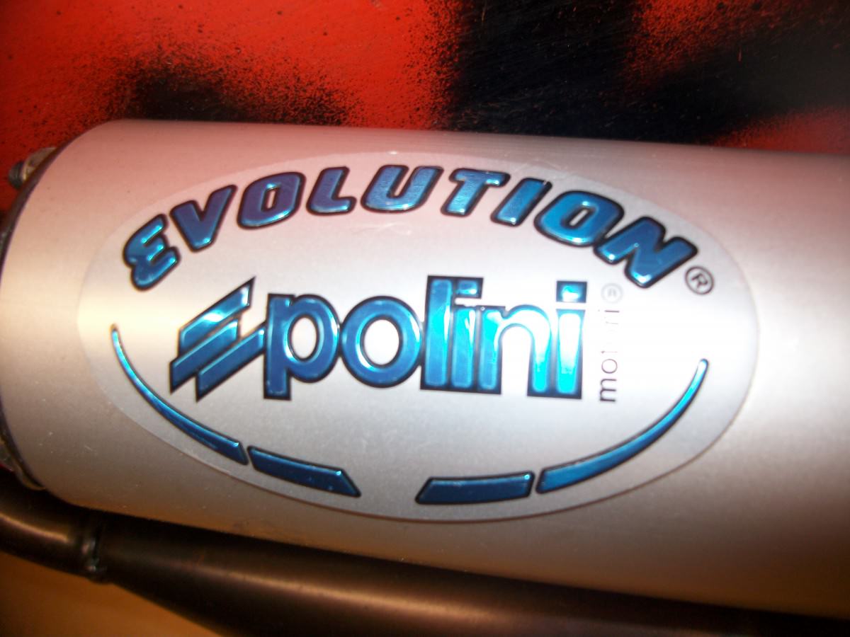 Polini Evo pott