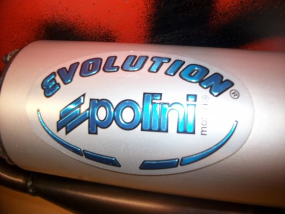 Polini Evo pott