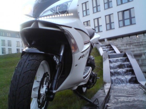 Der Scooter
