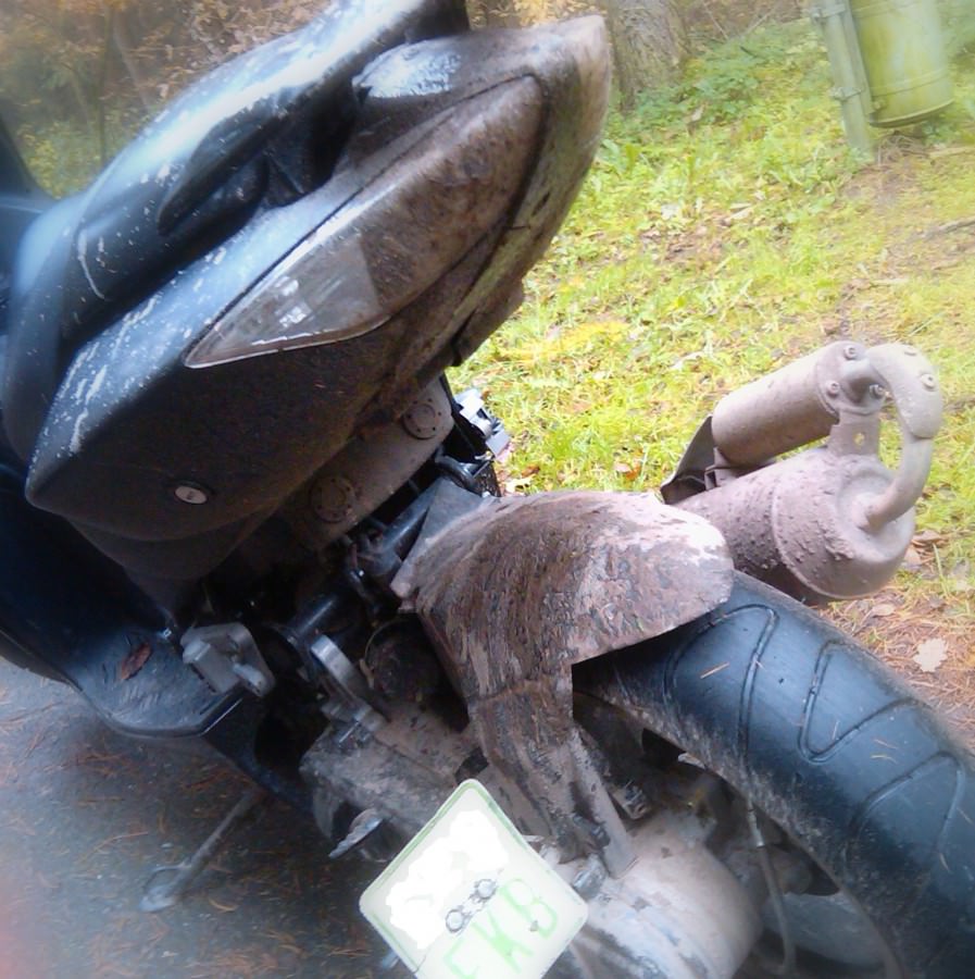 Waldtour =)
