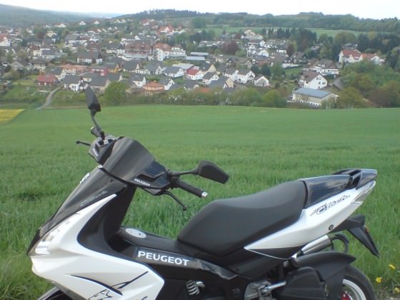 Meiner