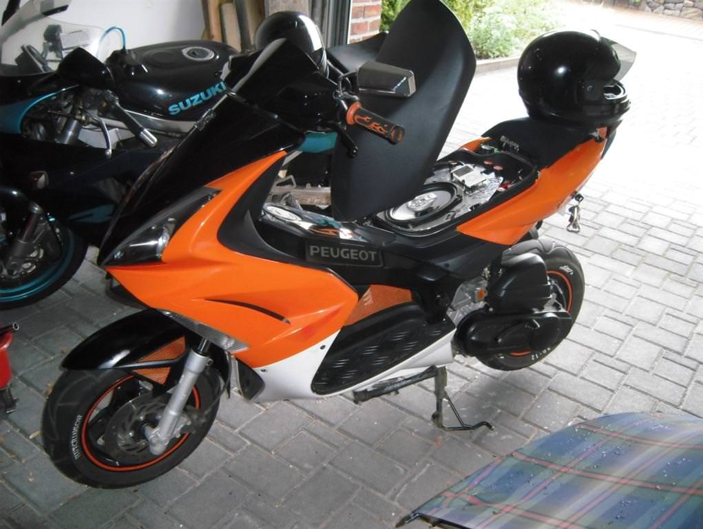 DSCI0367