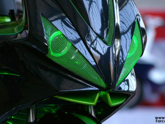 IMGP7519.jpg
