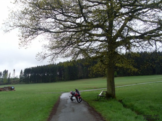 heute