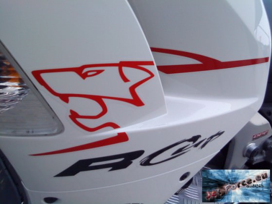R-Cup Power xD