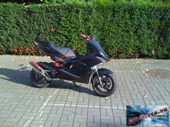 neue bilder