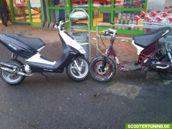 meine alten babys