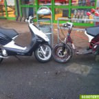 meine alten babys