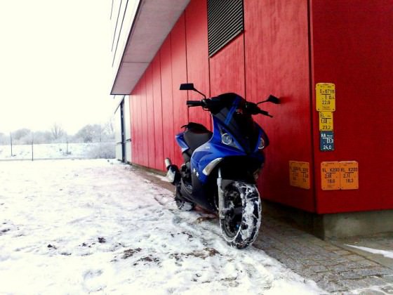 Jet im Schnee ♥