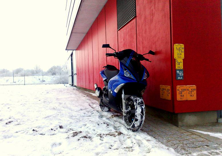 Jet im Schnee ♥