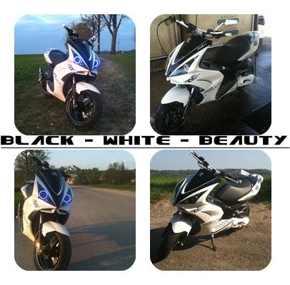 Black - White - Beauty ♥