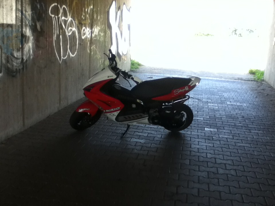 Bester Lenker :D