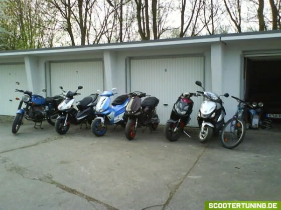 meine alten babys