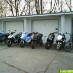 meine alten babys