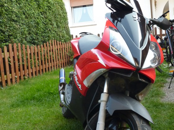 In aller Pracht ;D