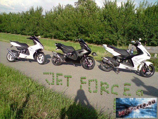 Jetty Killa´s Meiner und Jetty_4_Life