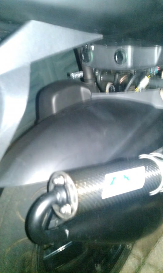 IMAG0401
