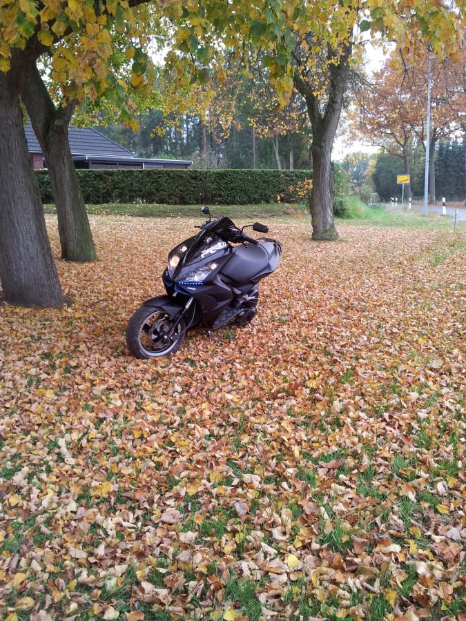 Meine :)
