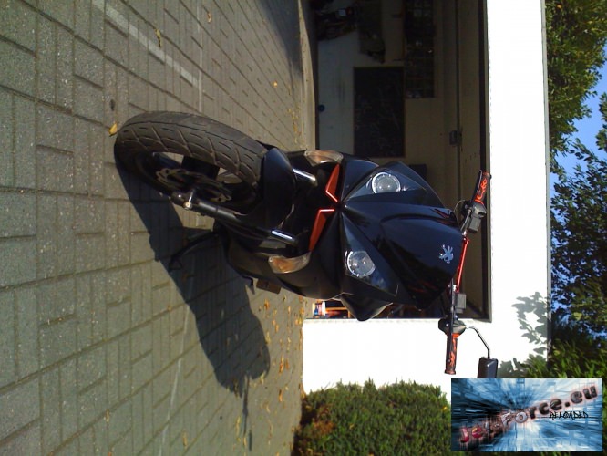 neue bilder