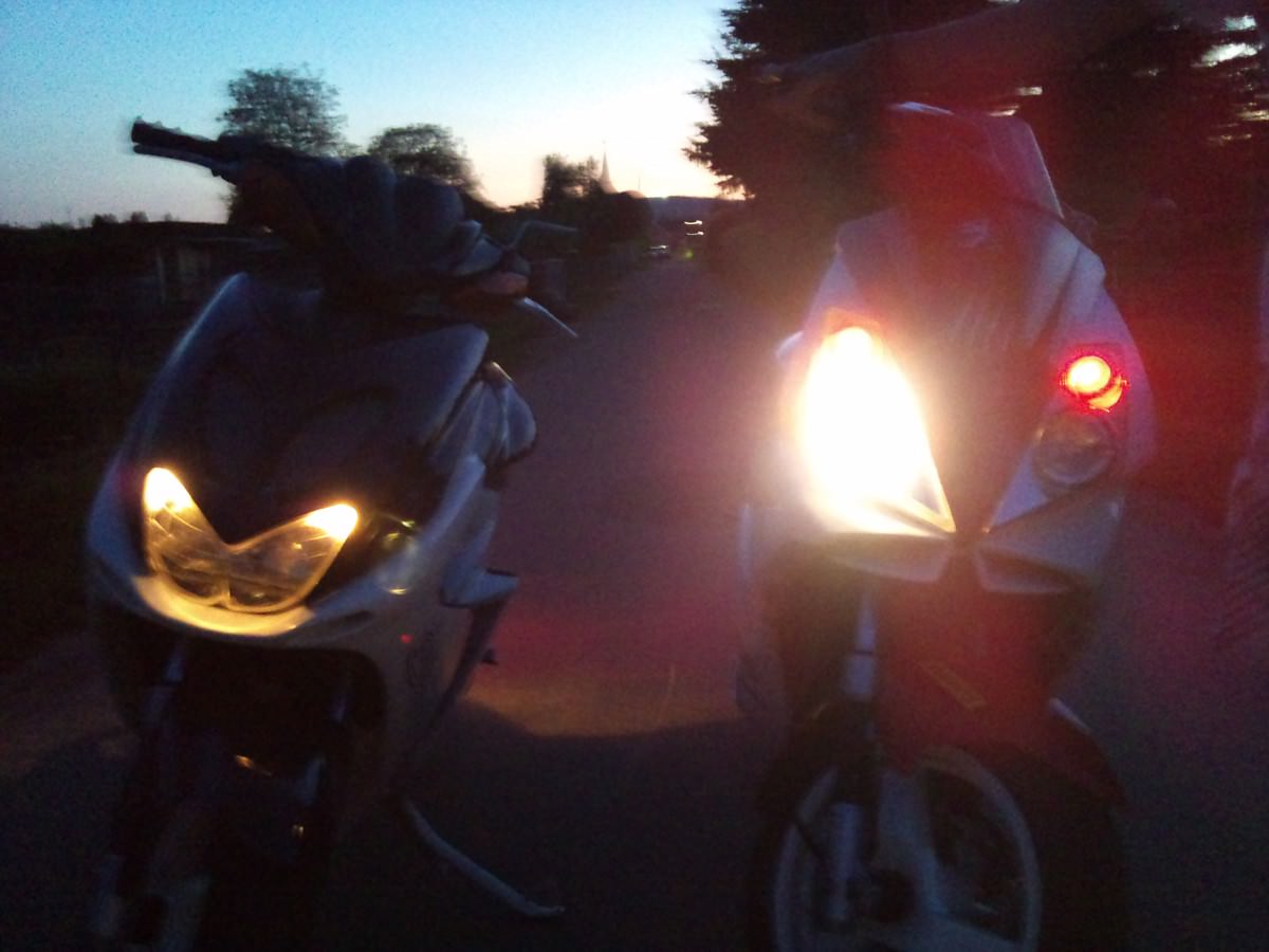 Meine Jette und die Roxy vom Kumpel