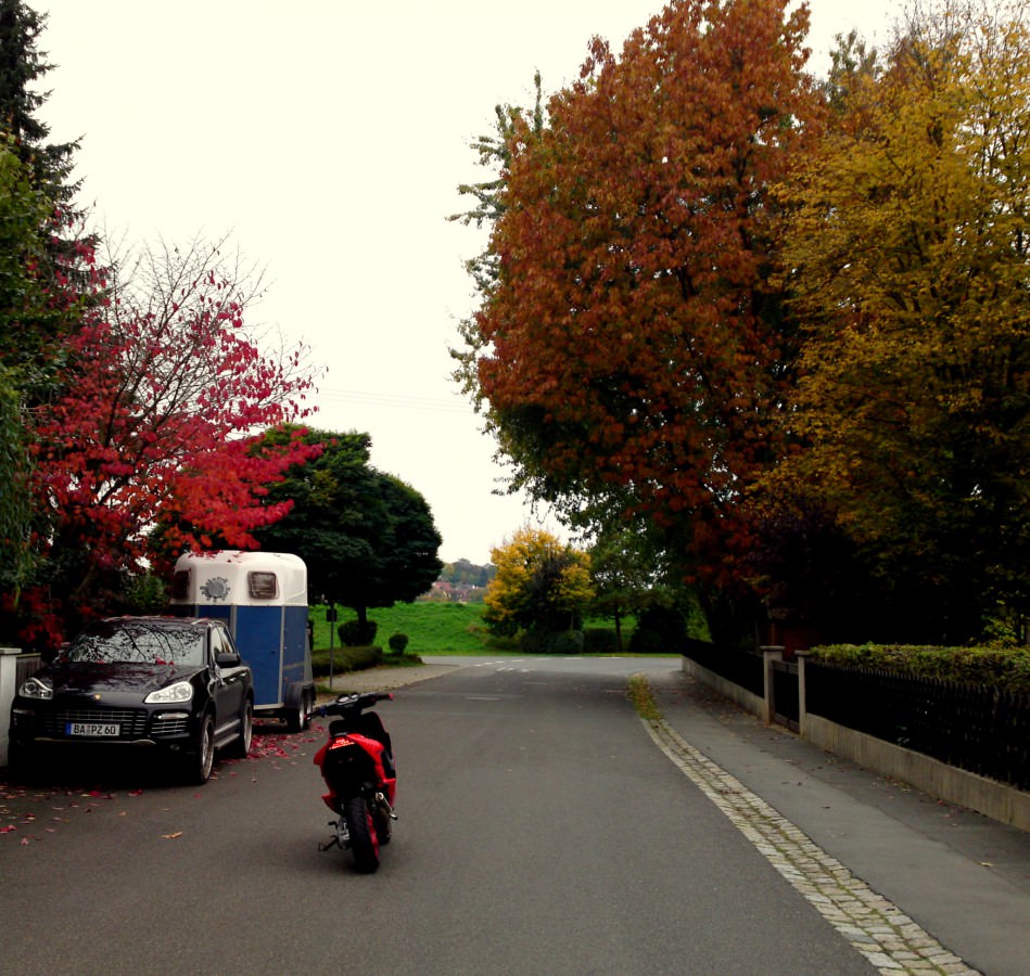 Bald ist es Herbst. ♥
