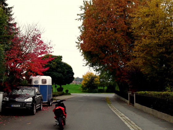 Bald ist es Herbst. ♥