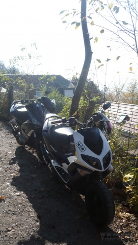 Mein Jetty und der speedfight vom kumpel