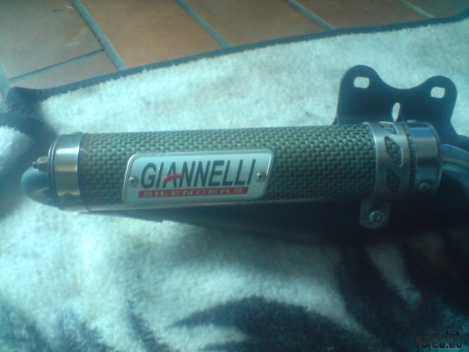 Gianelli reverse