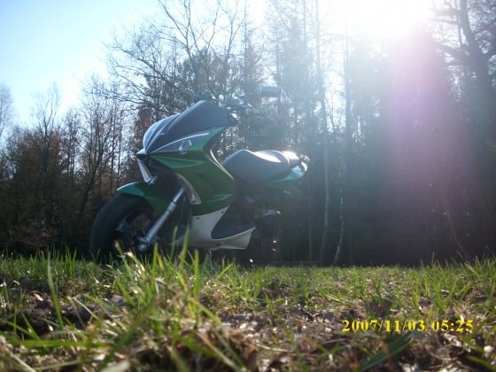 Downi <3