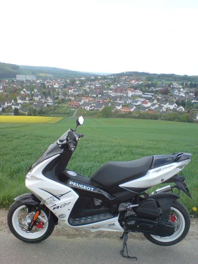 Meiner