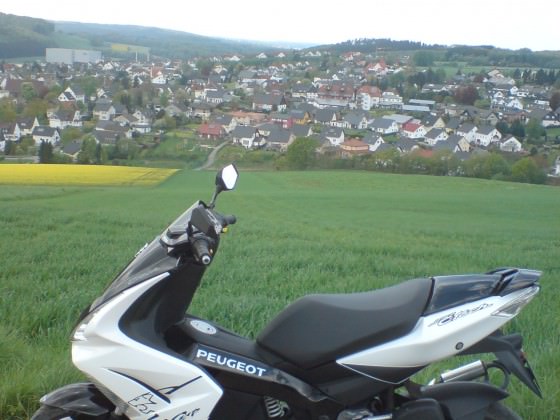 Meiner