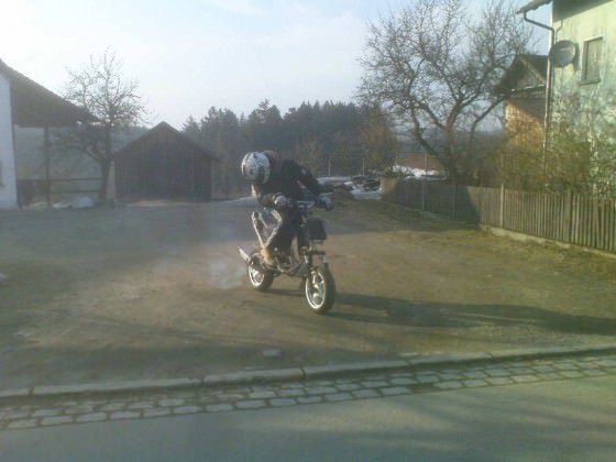 schlachte 77ccm big bore aus!