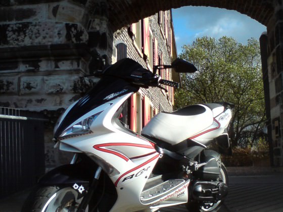 Der Scooter