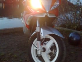 kleines Photoshoting mit nem bb ^^