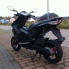 Sonntag kommt er weg :(   morgen mache ich noch ein schönes Tourchen mit ihm  :)