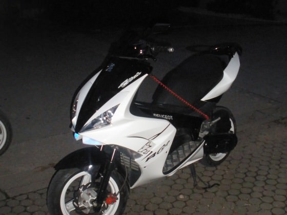 scoots<33