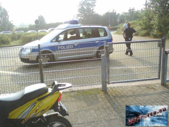 die bullen