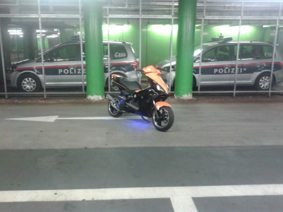 orangeblack jetts