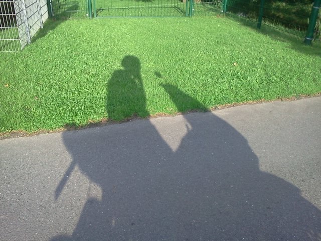 im busch