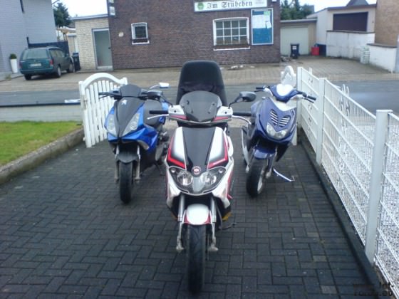 Jetty, Runner, Rox beim Runner zuhause ;)