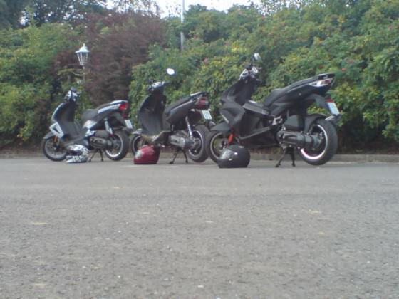SCOOT