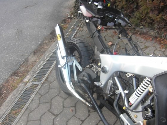 Hey Leute Ritzel is angekommen !