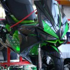 IMGP7518.jpg