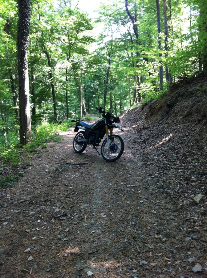 Moped